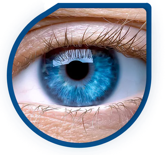 Clique aqui para Login do Usuário no Banco de Olhos